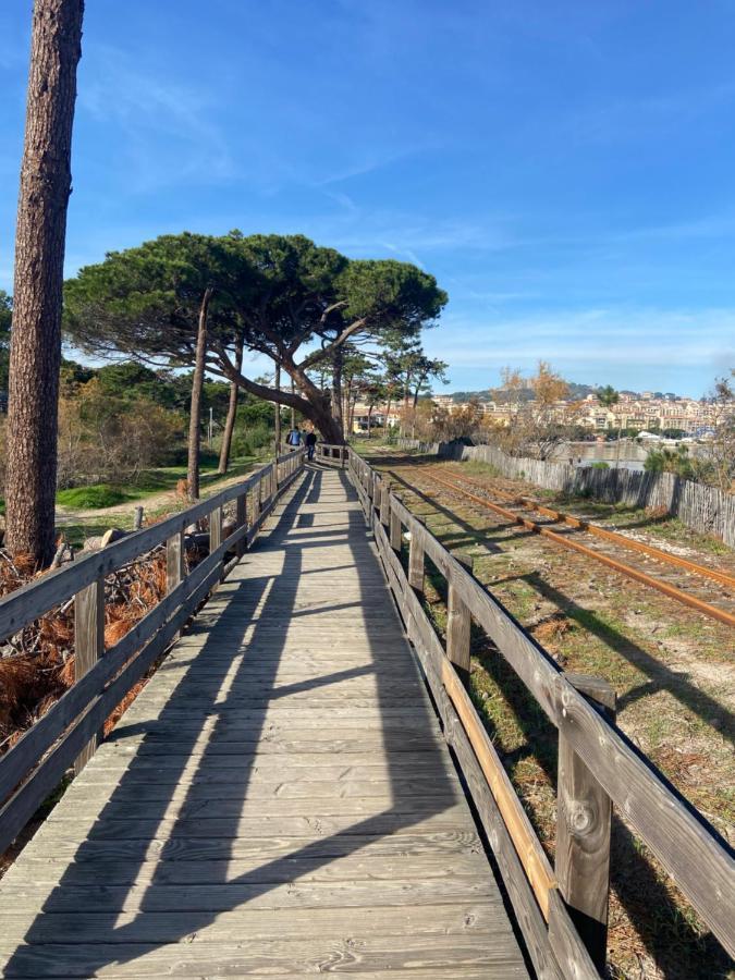 Duplex Calvi Direct Plage エクステリア 写真