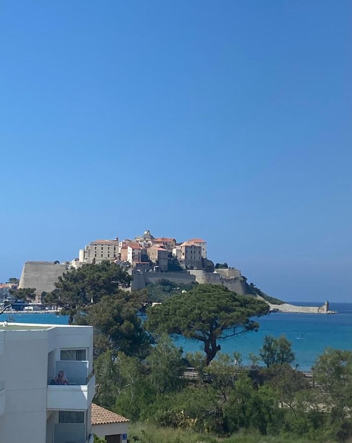 Duplex Calvi Direct Plage エクステリア 写真